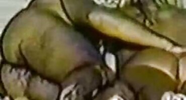 xxx tiktok Tomm Gun Gunn sex gai dep cums bạn gái của mình trong âm hộ của cô và kiêm đi ra.